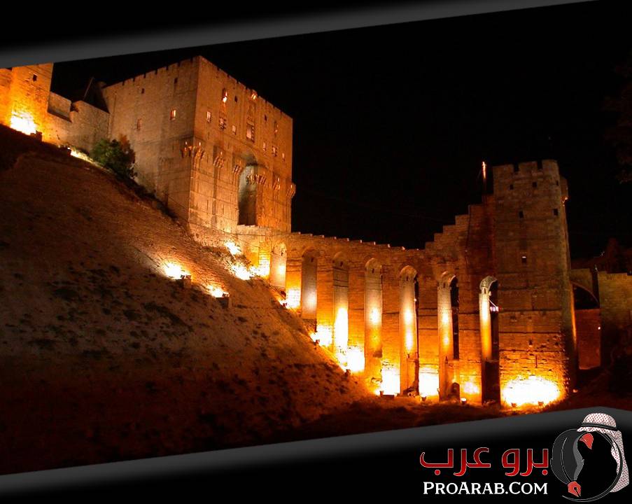 صورة قلعة حلب